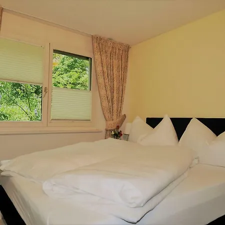 Edelweiss B 213 Apartment Bellwald