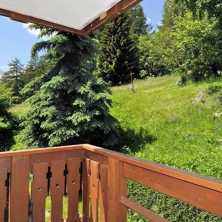 Edelweiss B 213 Apartment *